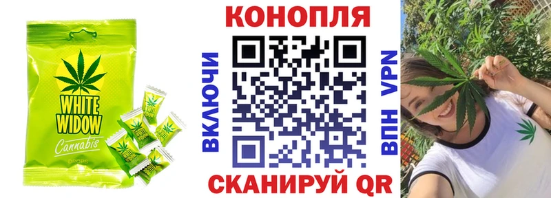 Canna-Cookies марихуана  купить наркоту  Владикавказ 