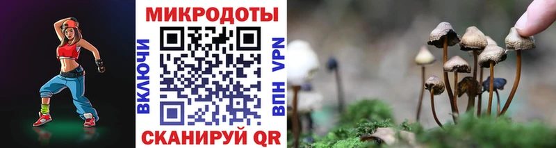 Галлюциногенные грибы MAGIC MUSHROOMS  Владикавказ 