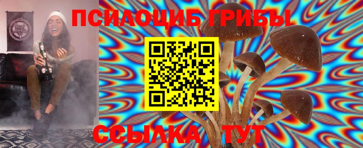 Псилоцибиновые грибы Magic Shrooms  Вход с VPN  Владикавказ 