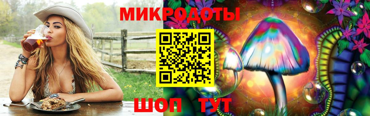 Псилоцибиновые грибы GOLDEN TEACHER Владикавказ